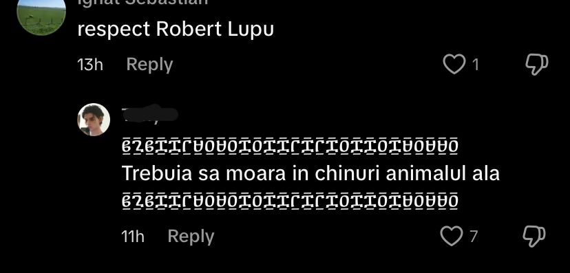 violența România abuz