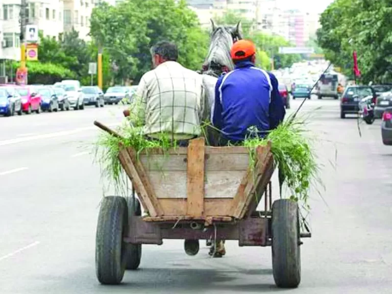 Taxa de poluare pentru mijloacele de transport, obligatorie până în iulie. Comisia Europeană ne recomandă mersul pe jos