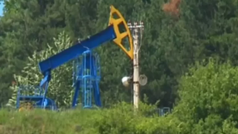 Cârdășie cu autoritățile sau sfidare pe față. OMV Petrom face ”legea” în pădurile țării