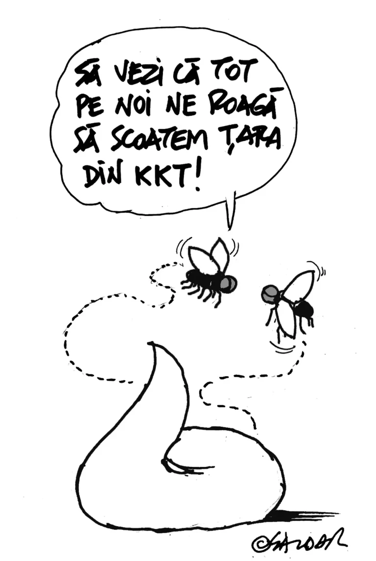 Caricatura Zilei
