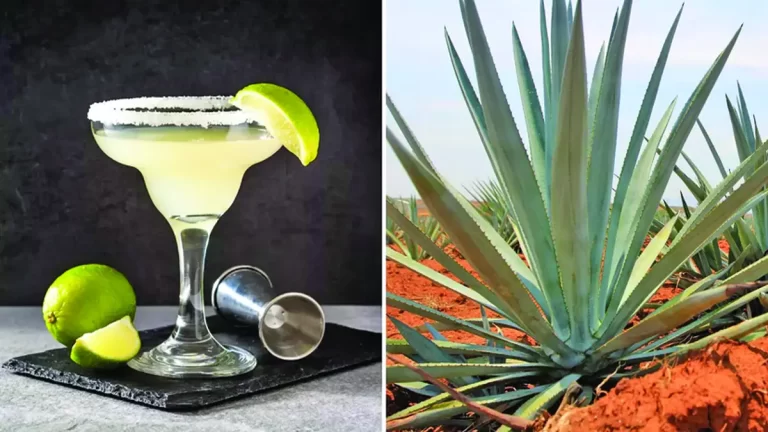 Tequila lângă Gaza