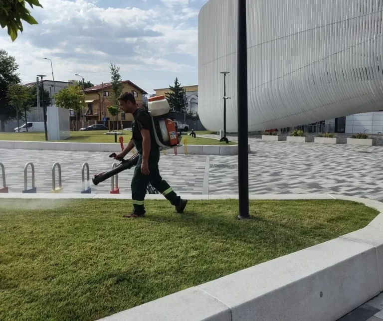 Spații verzi rămase fără cusur în Sectorul 4, la capătul perioadei de caniculă