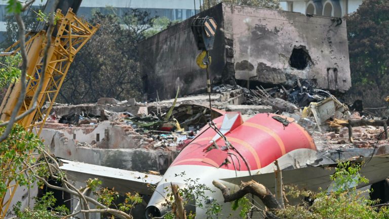 Catastrofa Air India, o sinucidere?
