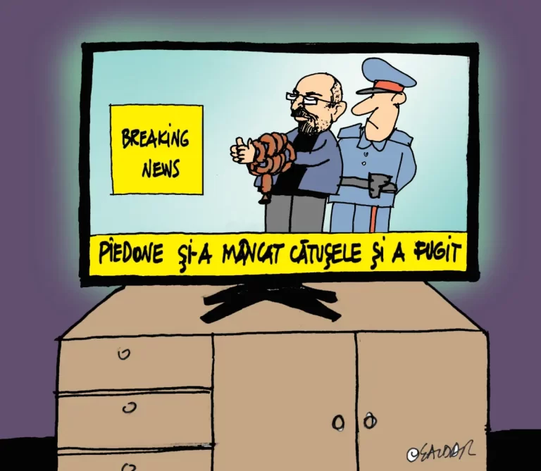 Caricatura Zilei