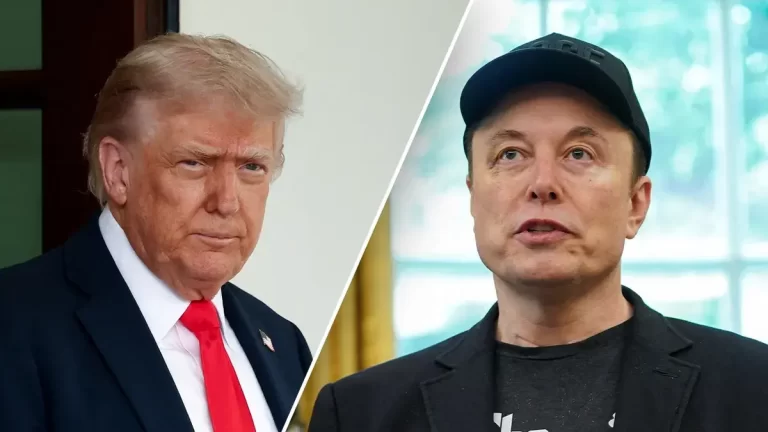 Circ politic în SUA:  Partidul America vs Partidul lui Porky Pig