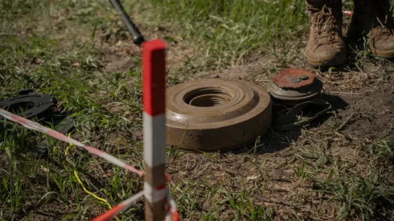 Deminarea Ucrainei, de la greblă la dronă