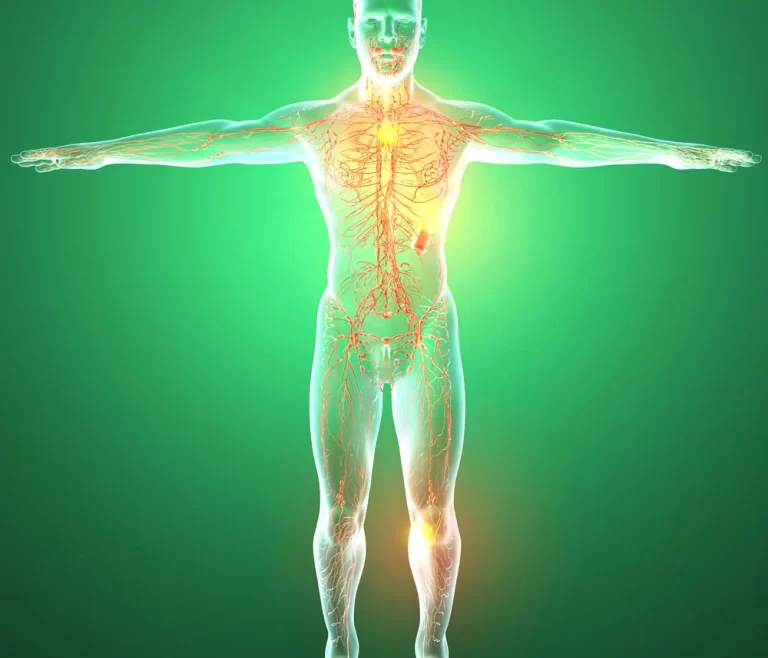 Sistemul limfatic: Conexiunea ascunsă între masaj, detoxifiere și imunitate