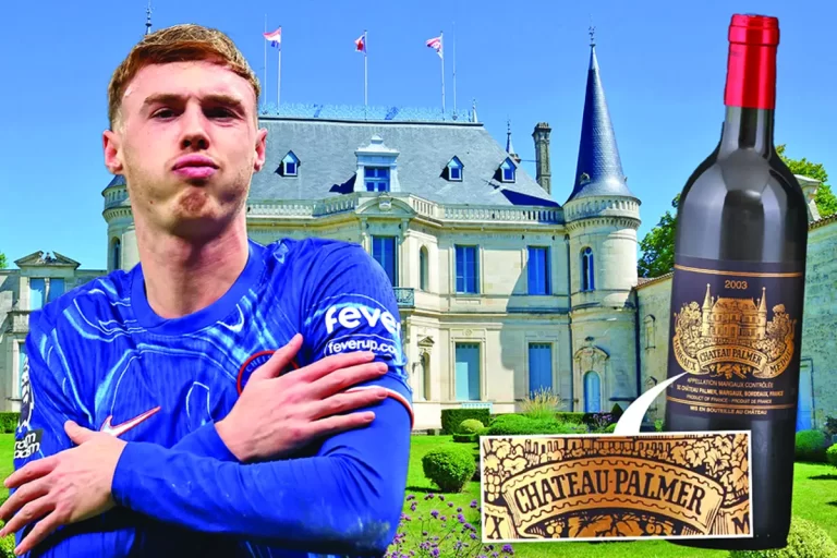 Vedeta lui Chelsea, în „război” cu o podgorie din Franța