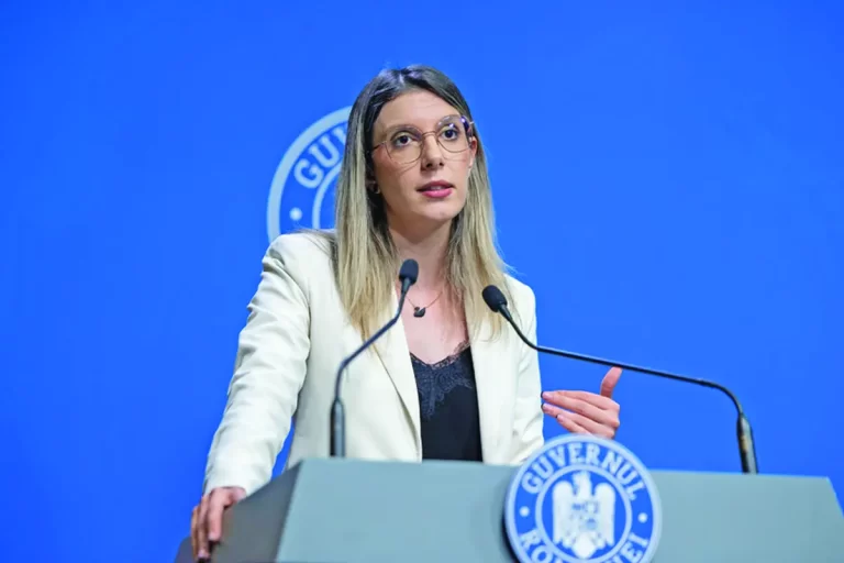 Silvicultorii acuză: ONG-urile și firmele private, pregătite să acapareze pădurile țării