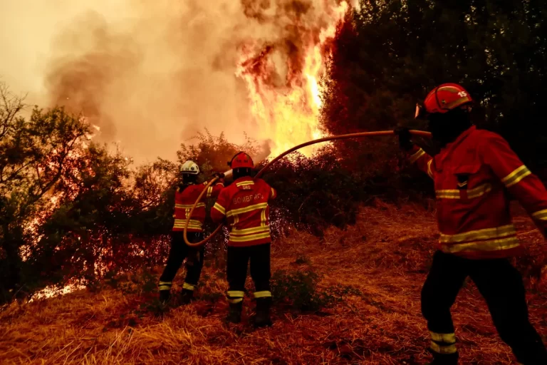 Exodul rural a alimentat incendiile mortale din Europa