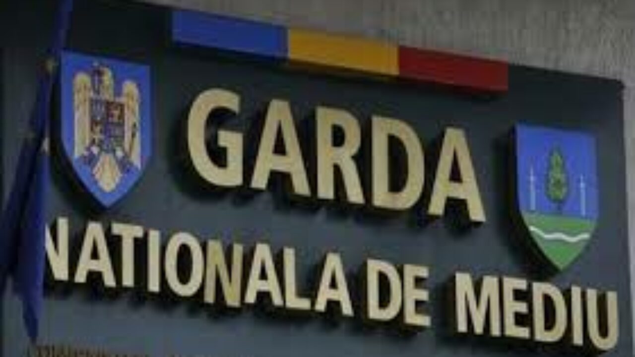 Guvernul României finanțăre