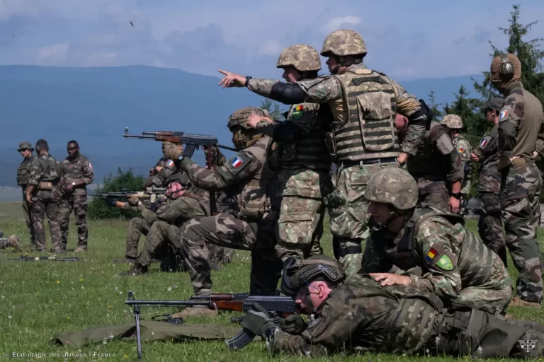 Banii europeni împrumutați nu ajung în industria românească. Se înmulțesc deplasările în străinătate ale MApN pentru cumpărarea de armament