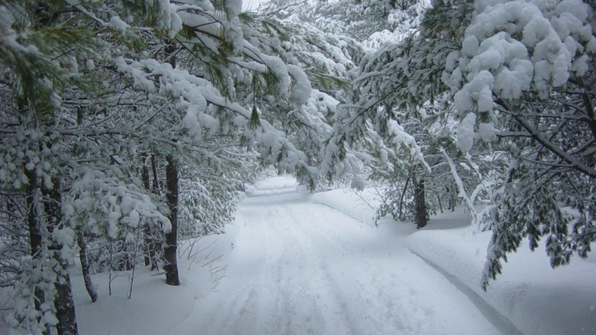 polar vreme