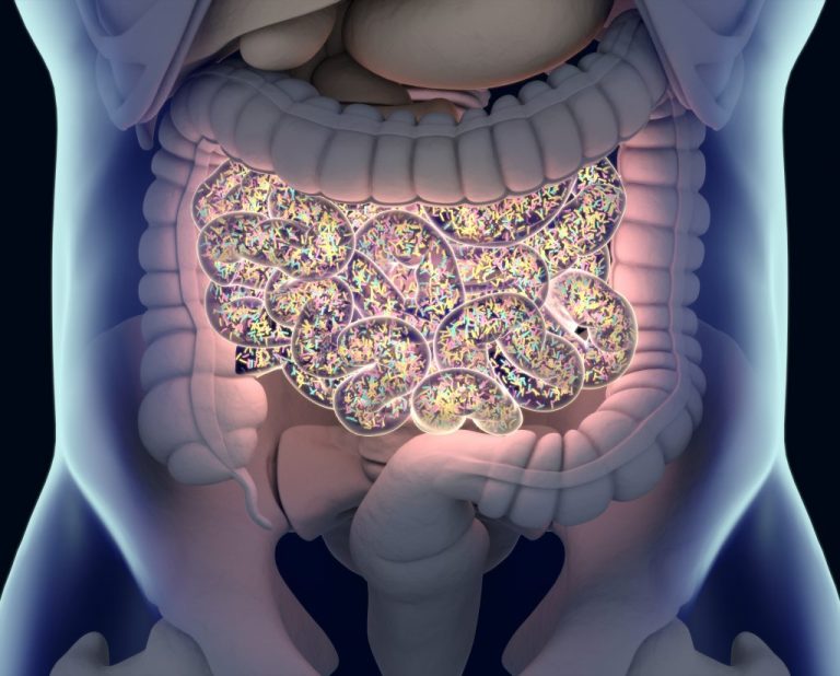 Creierul și intestinul: cum microbiomul influențează dispoziția și memoria