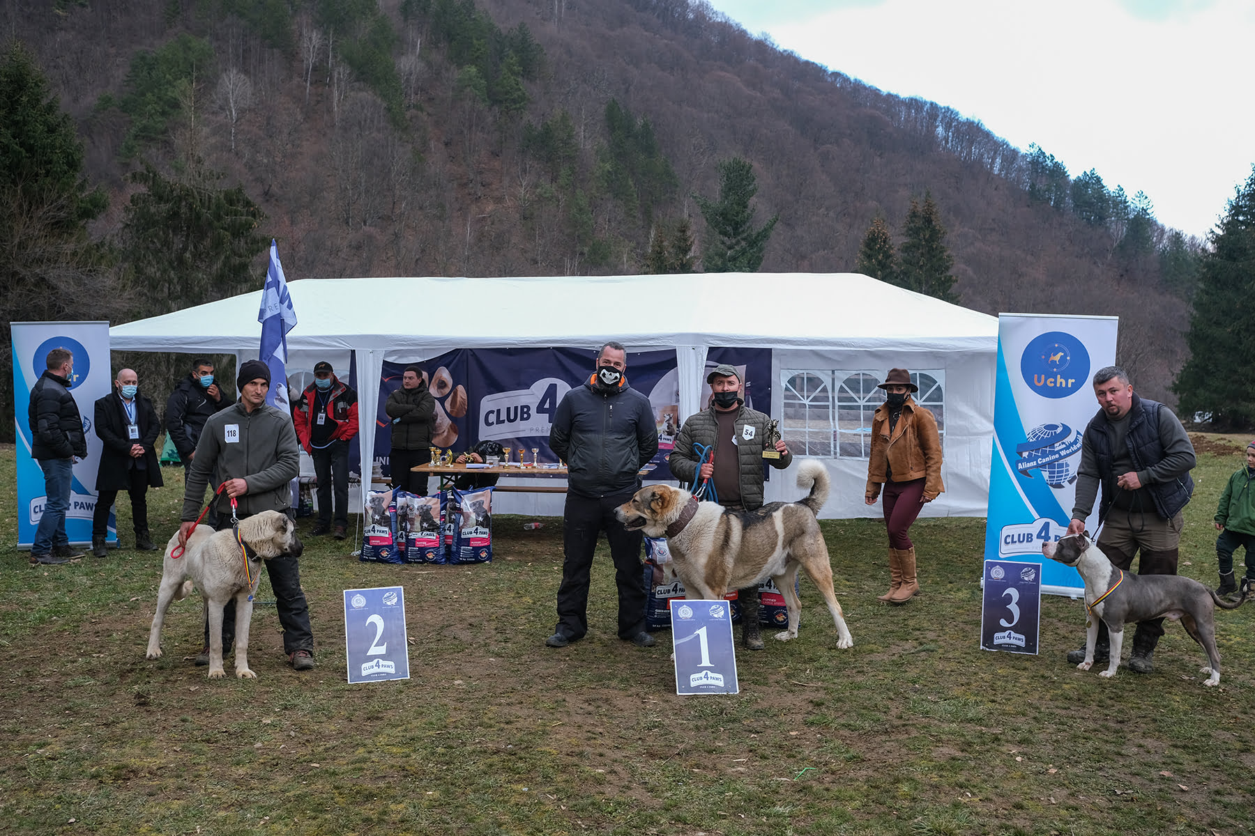 Campionatul Național Ciobăneștilor Românești