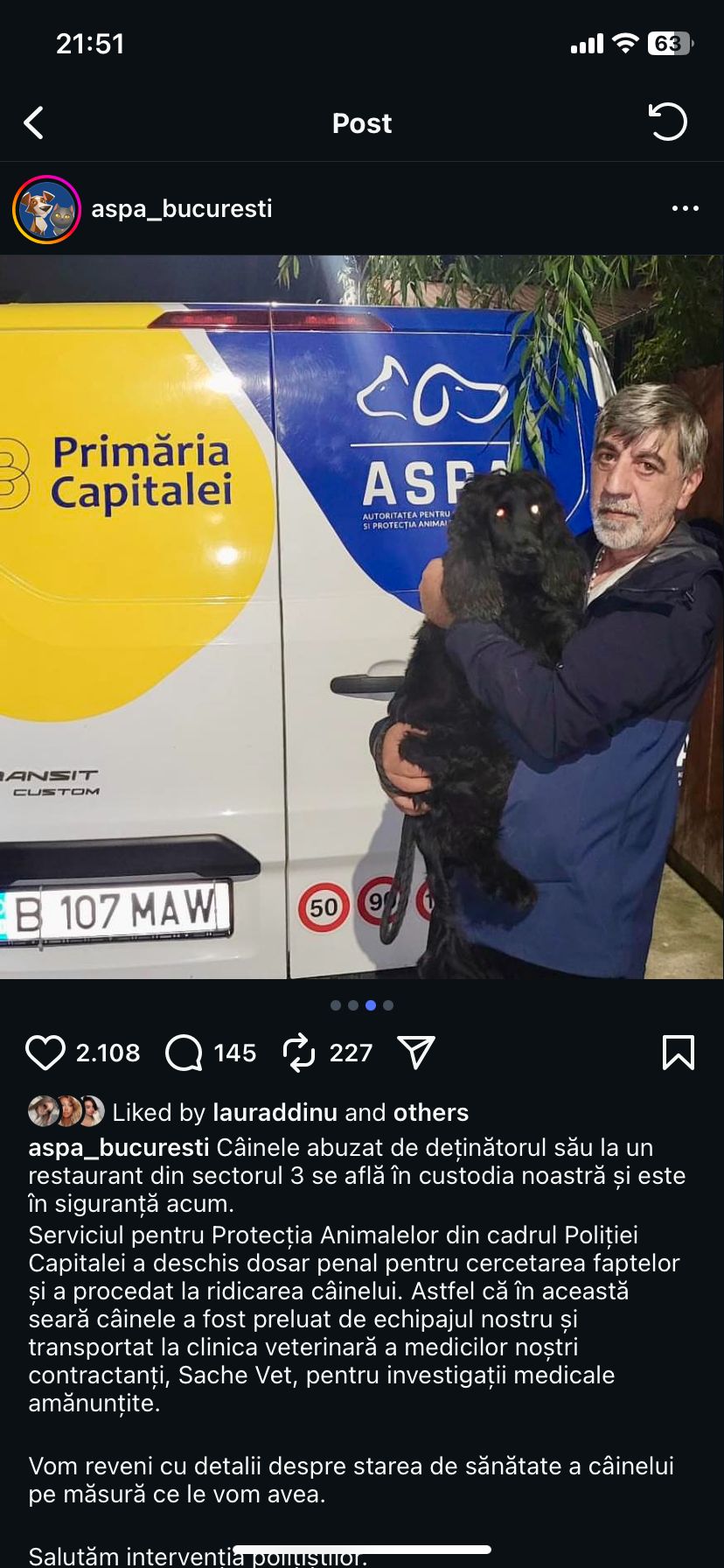 asociatia-a-salvat-catelul - Ziarul National câine agresat