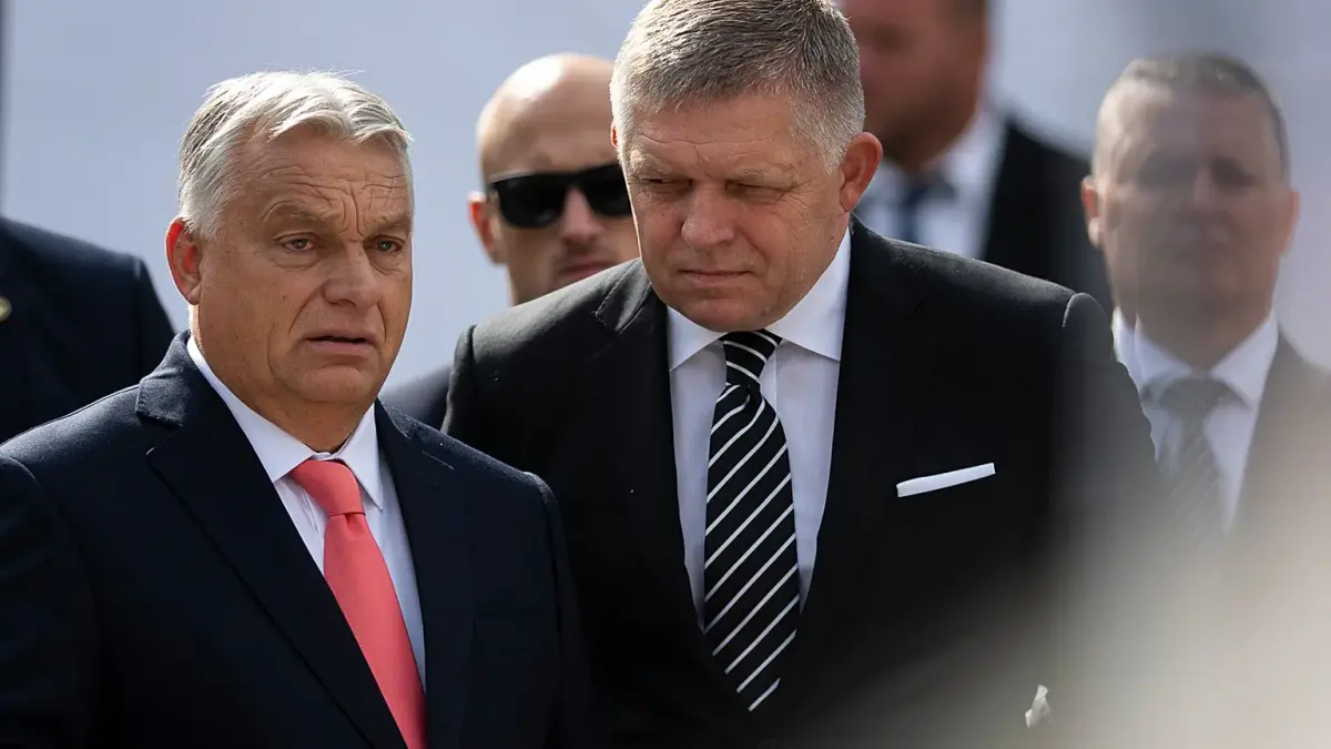 coaliția 1 - Ziarul National