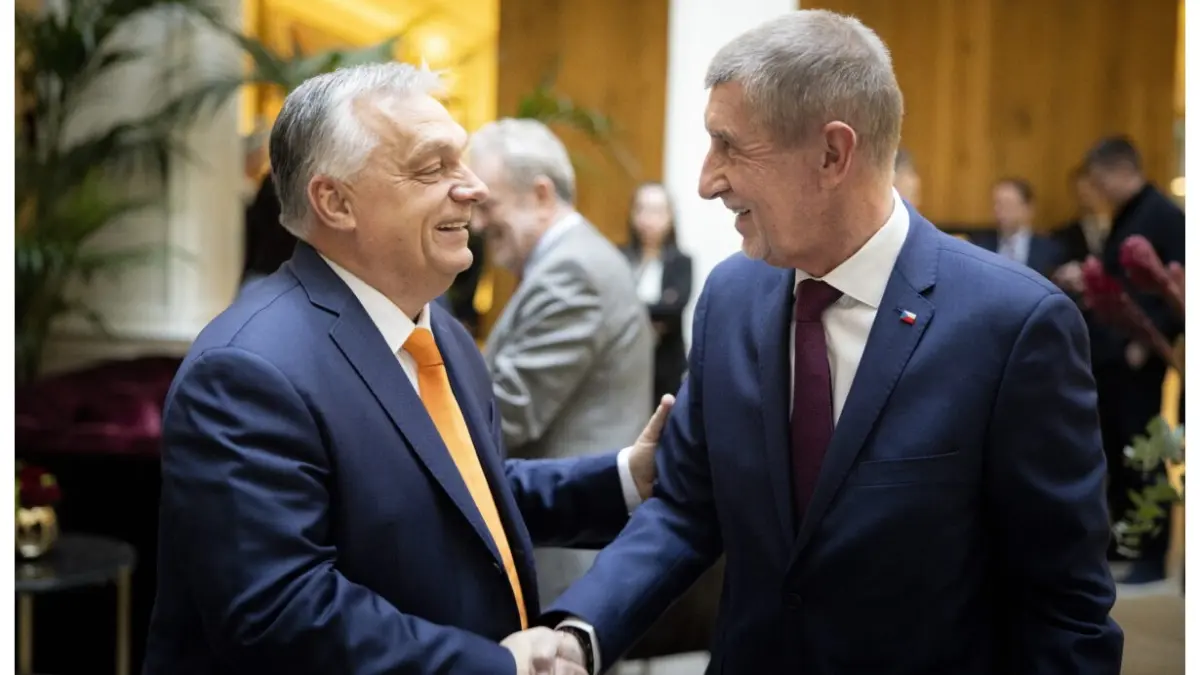 coaliția 2 - Ziarul National