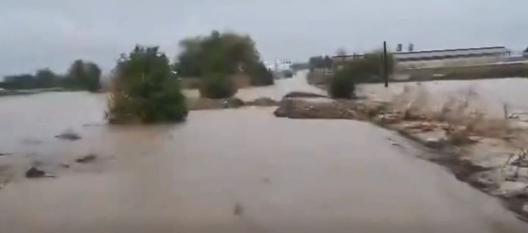 Cod roşu de ploi în Constanţa. Mașini luate de viitură – persoane blocate pe capote, salvate de pompieri – VIDEO