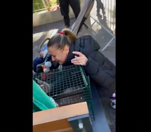 mot1 - Ziarul National