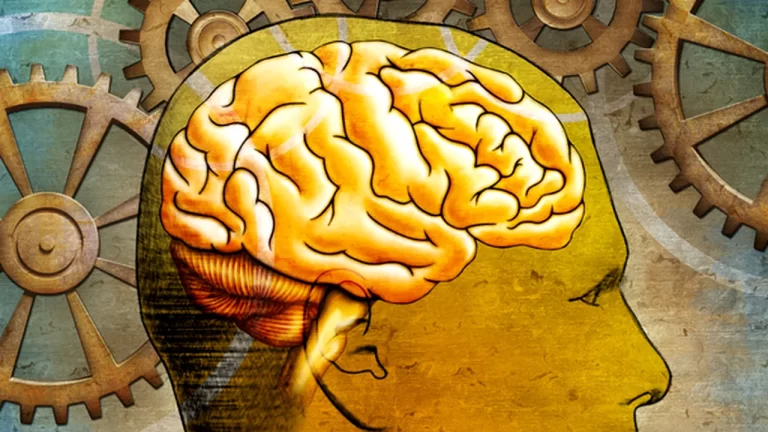 VIDEO Efectul Mozart vs. liniștea completă – care stimulează mai bine memoria?