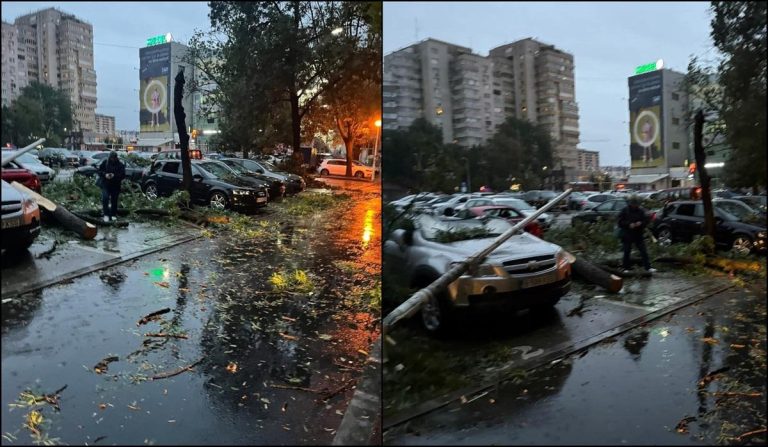 mașini avariate inundații