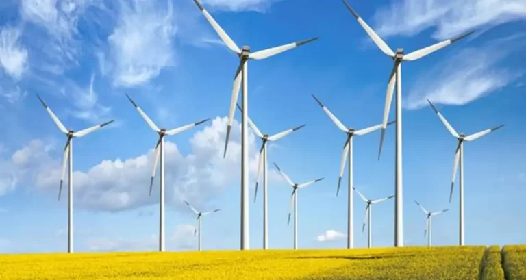 Experții în energie fac zob utopia Net Zero. Înlocuirea combustibililor fosili înseamnă faliment total