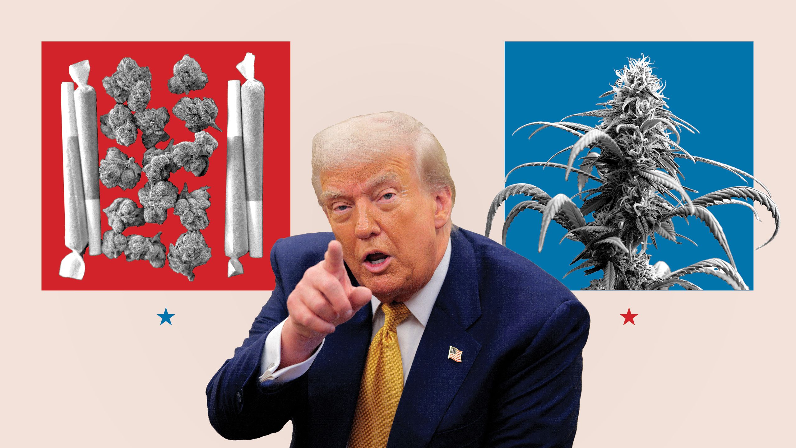 Marijuana, reclasificată de Donald Trump: „Oamenii m-au implorat să iau această decizie” - Ziarul National