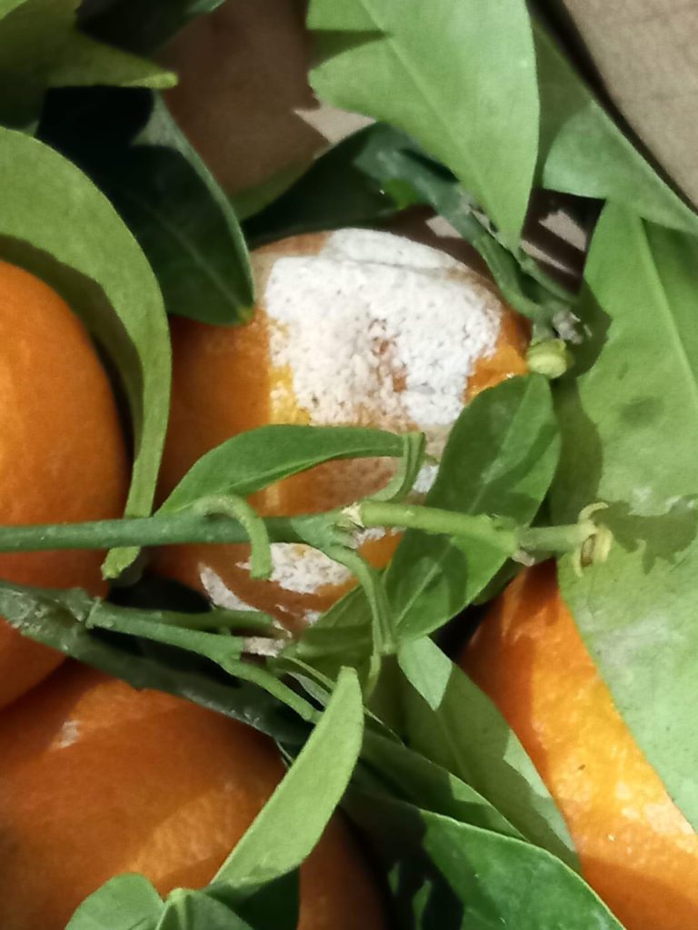 ANPC, controale la marile magazine din București! S-au găsit produse expirate și diferenţe între preţul de la raft şi cel de la casă/Cât au fost amenzile – FOTO