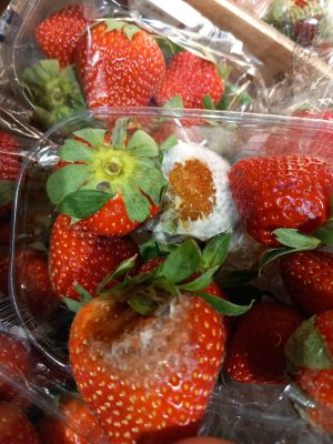 ANPC, controale la marile magazine din București! S-au găsit produse expirate și diferenţe între preţul de la raft şi cel de la casă/Cât au fost amenzile – FOTO - Ziarul National ANPC, controale la marile magazine din București! S-au găsit produse expirate și diferenţe între preţul de la raft şi cel de la casă/Cât au fost amenzile – FOTO - Ziarul National