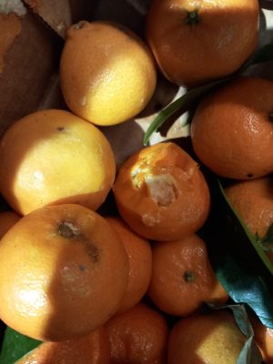 ANPC, controale la marile magazine din București! S-au găsit produse expirate și diferenţe între preţul de la raft şi cel de la casă/Cât au fost amenzile – FOTO - Ziarul National ANPC, controale la marile magazine din București! S-au găsit produse expirate și diferenţe între preţul de la raft şi cel de la casă/Cât au fost amenzile – FOTO - Ziarul National