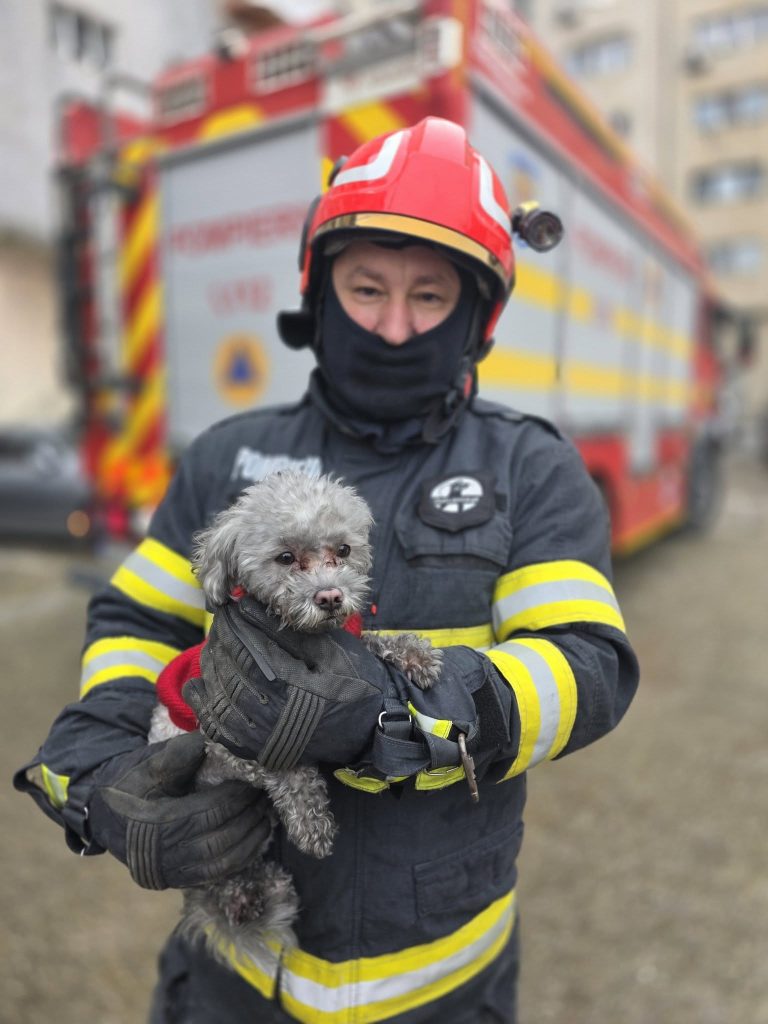 FOTO. Pompierii din Giurgiu au salvat un cățeluș dintr-un apartament în care izbucnise un incendiu. „Toto este acum în siguranță”