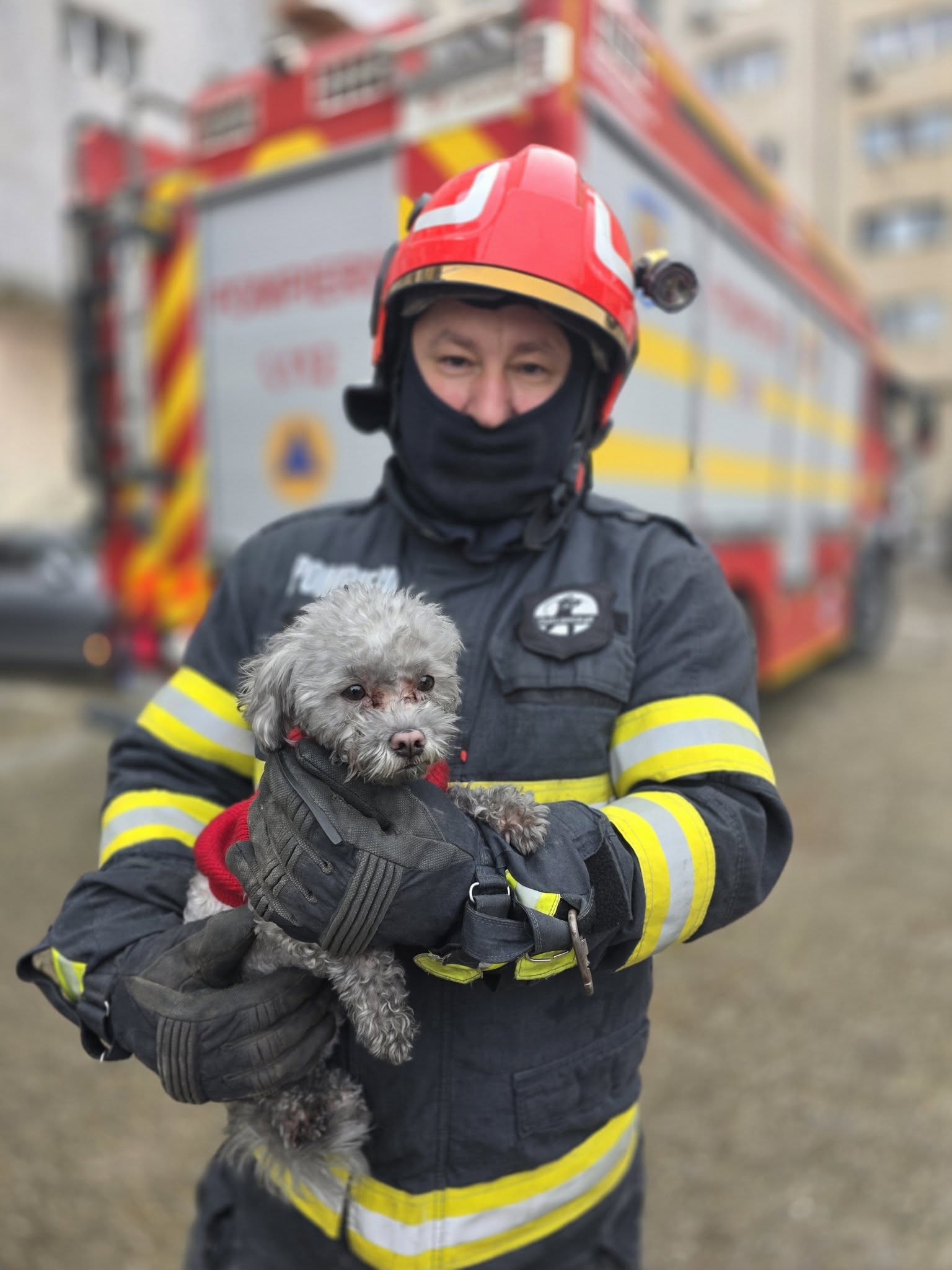 FOTO. Pompierii din Giurgiu au salvat un cățeluș dintr-un apartament în care izbucnise un incendiu. „Toto este acum în siguranță” - Ziarul National