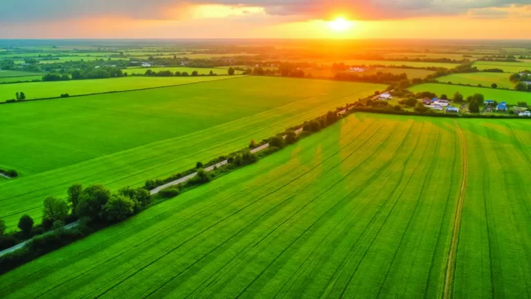 76.000 de hectare de terenuri agricole din proprietatea statului, sacrificate pentru parcuri eoliene și fotovoltaice