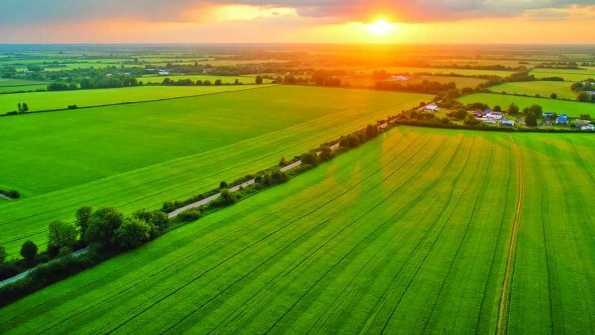 76.000 de hectare de terenuri agricole din proprietatea statului, sacrificate pentru parcuri eoliene și fotovoltaice - Ziarul National