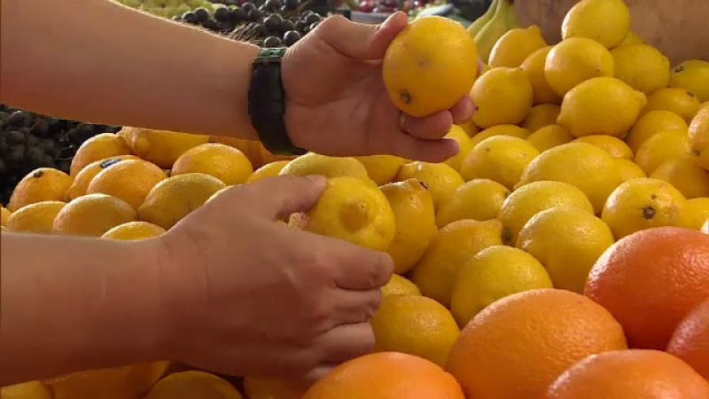Citrice destinate furajării animalelor, vândute în România ca produse de calitatea I: avertisment dur al ANPC FOTO - Ziarul National