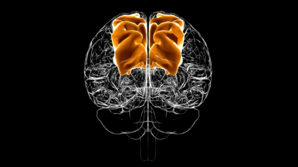 Ce se întâmplă când creierul nu primește suficientă energie? - Ziarul National Ce se întâmplă când creierul nu primește suficientă energie? - Ziarul National