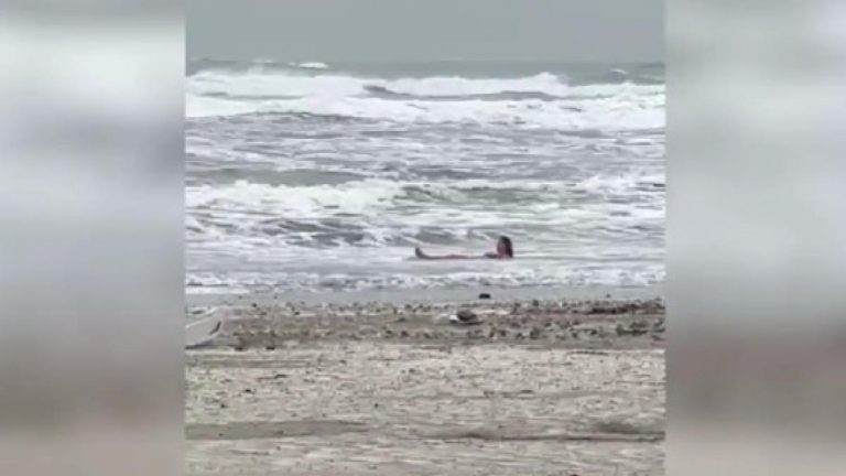 litoralul românesc ucraineancă