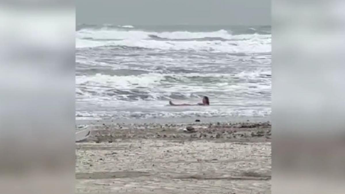 Litoralul românesc, scena unui moment neașteptat în plin decembrie - Ziarul National litoralul românesc ucraineancă