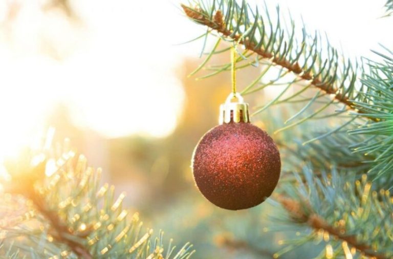 Cum va fi vremea până la începutul lunii ianuarie 2026. ANM, prognoza actualizată pentru următoarele 4 săptămâni