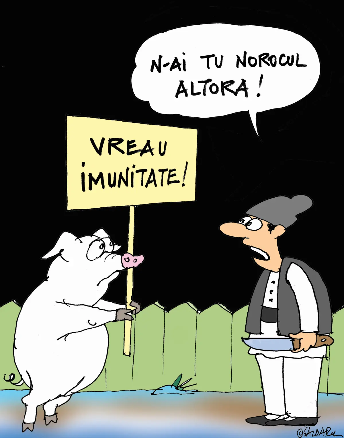 Imunitatea porcului - Ziarul National