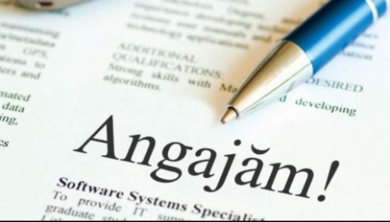 Unde poţi să te angajezi, la început de 2026, fie la stat, fie la privat. Companiile care caută şi personal necalificat, dar şi specialişti