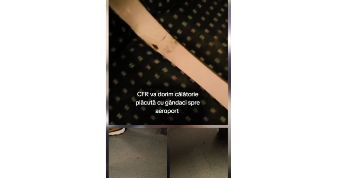 Călătorie cu „musafiri” neașteptați! Gândaci filmați în trenul spre aeroportul Otopeni! „Nu sunt rari, da-s mari!” - Ziarul National Călătorie cu „musafiri” neașteptați! Gândaci filmați în trenul spre aeroportul Otopeni! „Nu sunt rari, da-s mari!” - Ziarul National