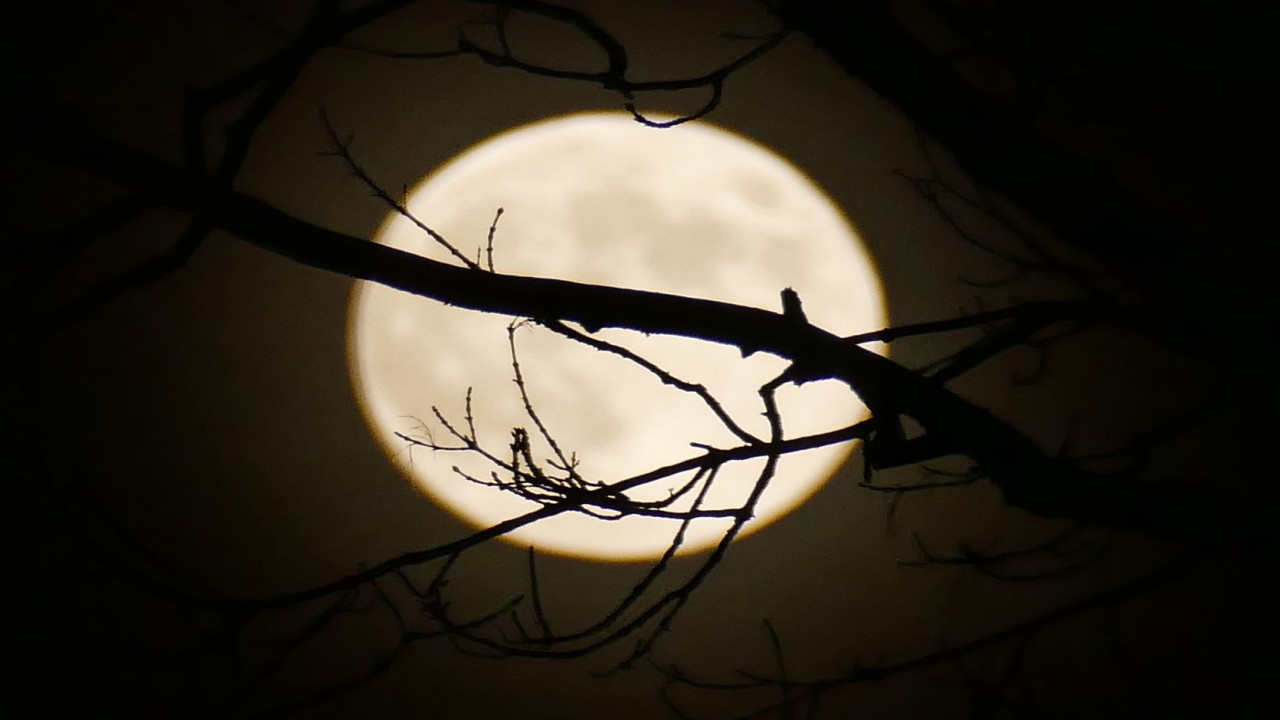 Superluna din decembrie luminează cerul: ultima apariție spectaculoasă a anului - Ziarul National