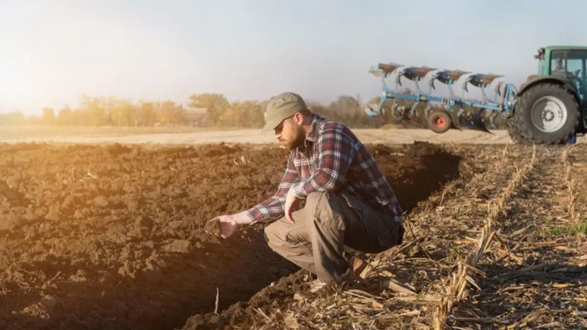 Inconștiență sau trădare? Acordul Mercosur, sfârșitul agriculturii și zootehniei românești - Ziarul National