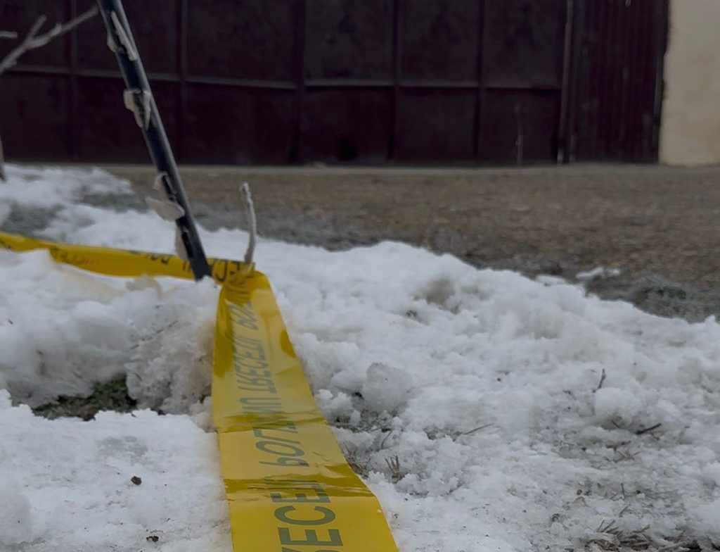 Noi amănunte în cazul care a zguduit o țară întreagă! Minorul de 13 ani suspect în crima înfiorătoare din Cenei, internat într-un centru de protecție. Ce urmează - Ziarul National