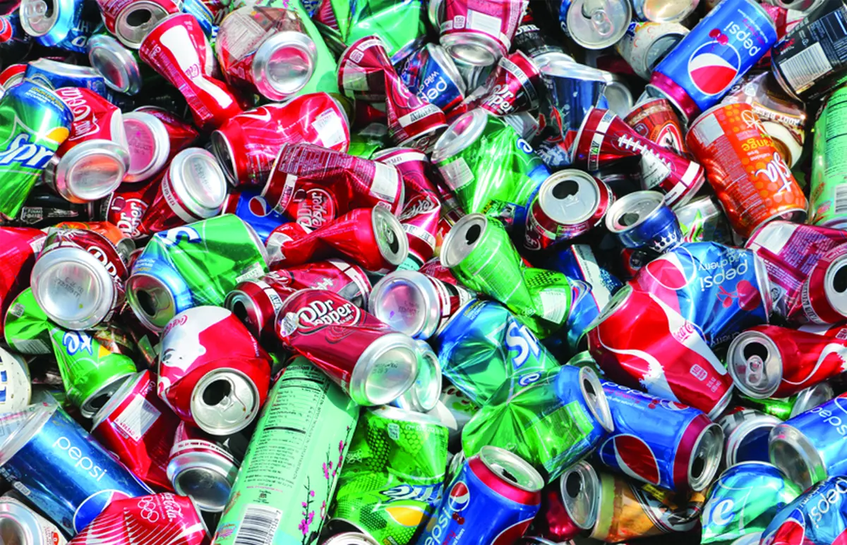 Chinezii amenință sistemul de reciclare al UE - Ziarul National