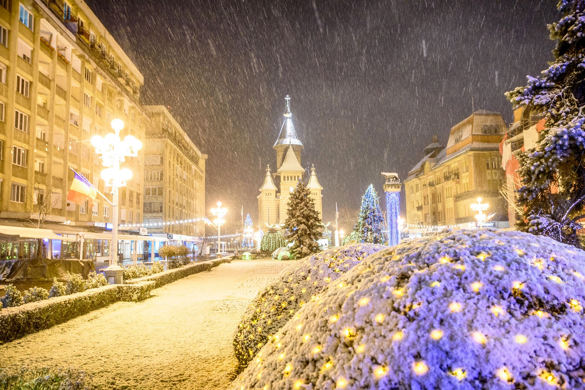 Timișoara, blocată sub nămeți, din cauza managerului userist, plătit cu 35.000 de lei pe lună. S-a deszăpezit doar pe Facebook! - Ziarul National