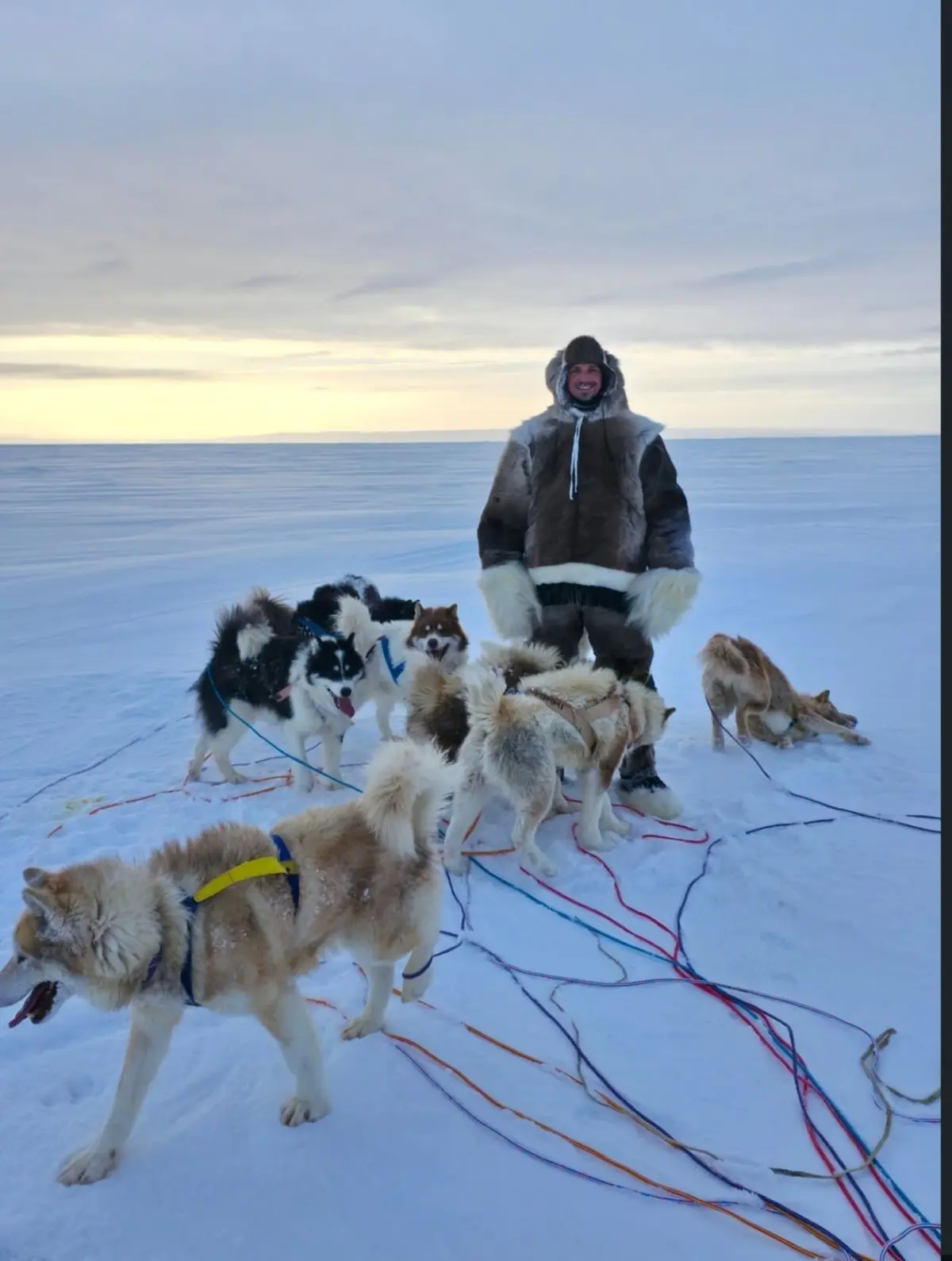 Zlatan și „haita arctică” - Ziarul National Zlatan și „haita arctică” - Ziarul National