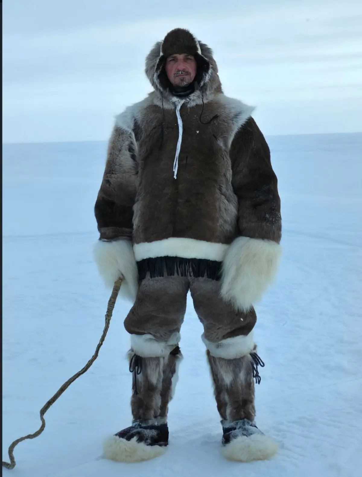 Zlatan și „haita arctică” - Ziarul National